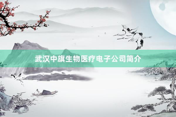 武汉中旗生物医疗电子公司简介